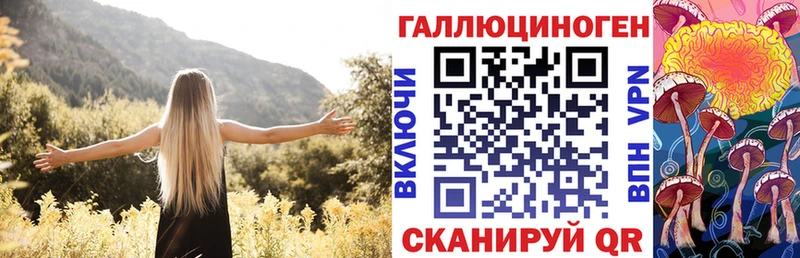 mega зеркало  Краснообск  Псилоцибиновые грибы прущие грибы 